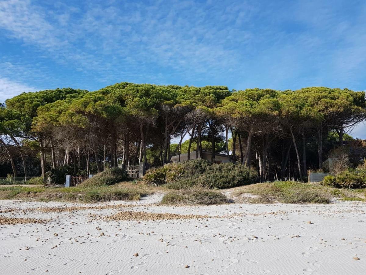 Mimosa Bilocale Cala Liberotto Eksteriør bilde