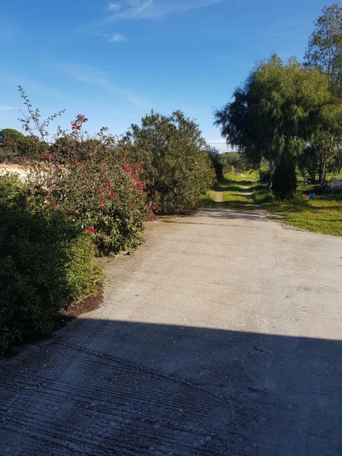 Mimosa Bilocale Cala Liberotto Eksteriør bilde