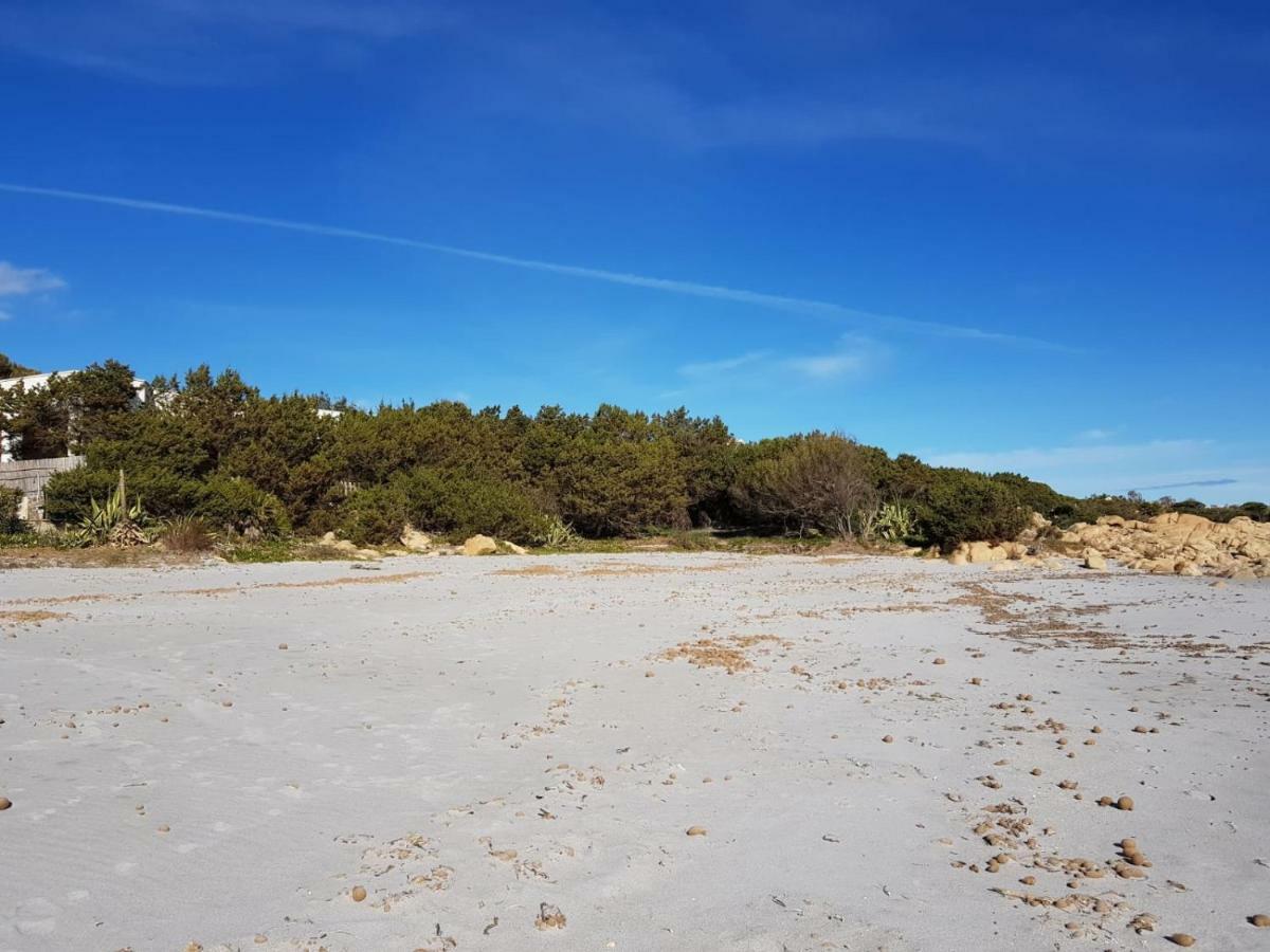 Mimosa Bilocale Cala Liberotto Eksteriør bilde