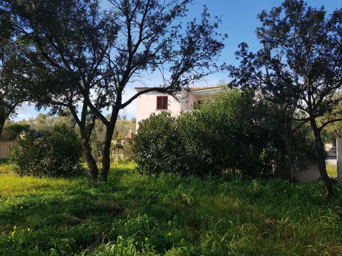 Mimosa Bilocale Cala Liberotto Eksteriør bilde