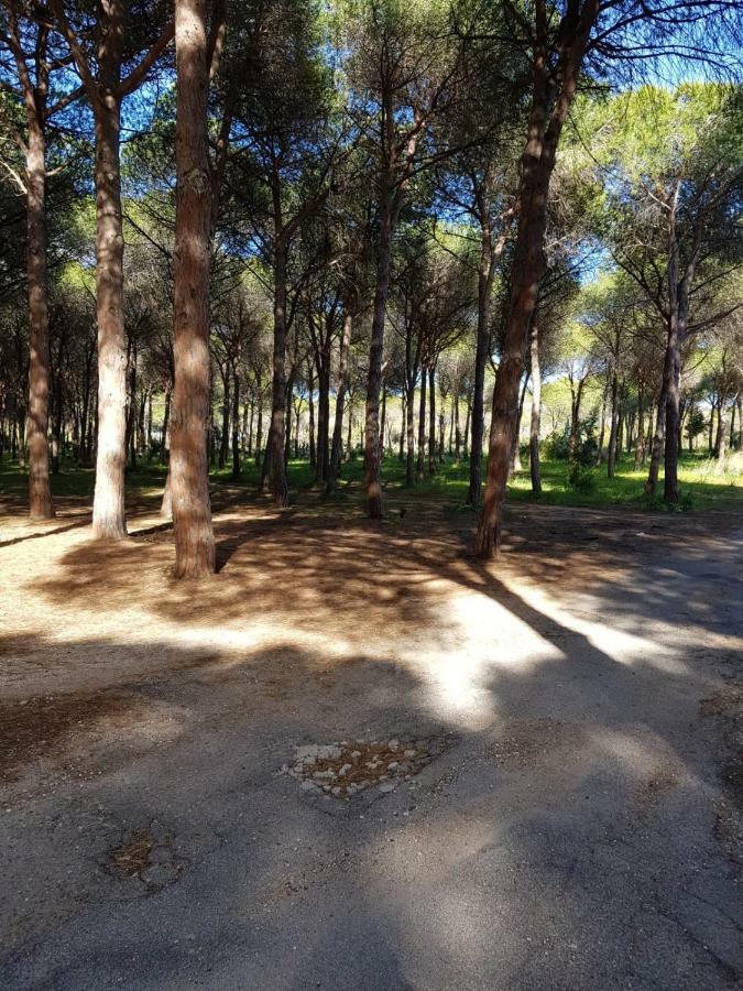Mimosa Bilocale Cala Liberotto Eksteriør bilde
