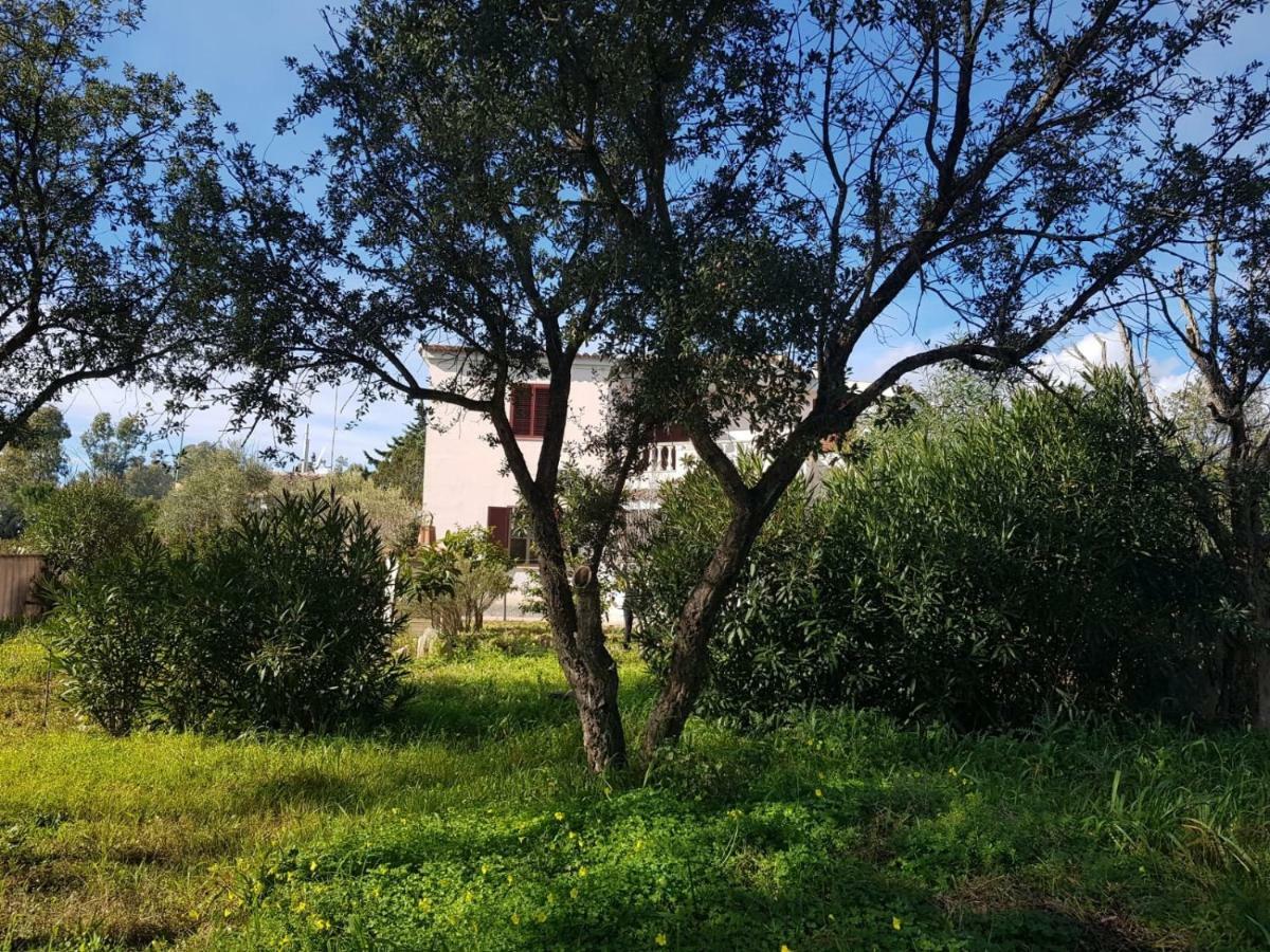 Mimosa Bilocale Cala Liberotto Eksteriør bilde