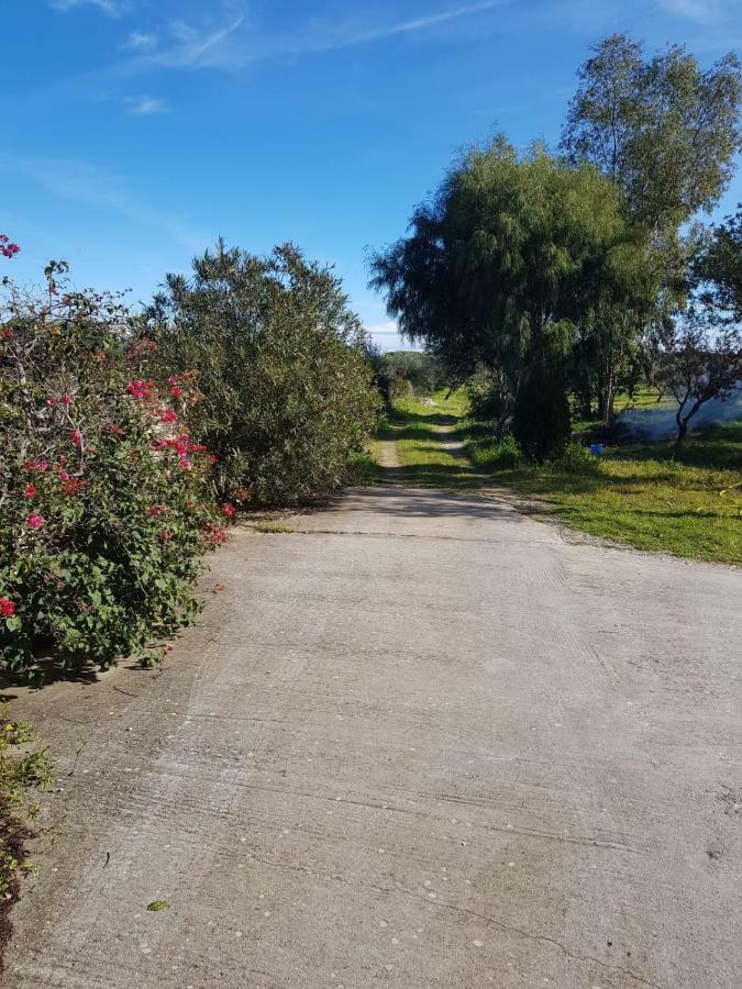 Mimosa Bilocale Cala Liberotto Eksteriør bilde