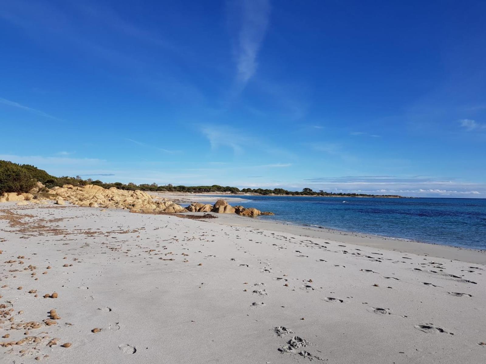 Mimosa Bilocale Cala Liberotto Eksteriør bilde